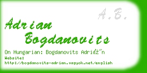 adrian bogdanovits business card